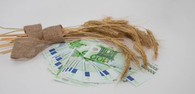 Buğday kulakları ve avro banknotları tarım sektörü ve gelirleri sembolize ediyor