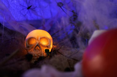 Cadılar Bayramı kafatası ve karanlık gizemli atmosferde kabaklar ve örümcek ağları.