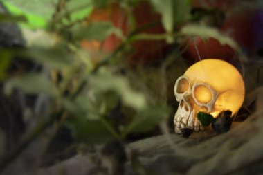 Cadılar Bayramı kafatası ve karanlık gizemli atmosferde kabaklar ve örümcek ağları.