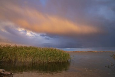 Nehir üzerinde altın günbatımı bulutları ve yeşil sazlıklar manzara