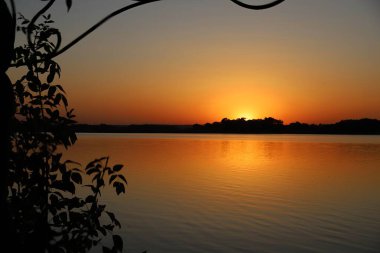 Altın yansımalar ve karanlık siluetlerle sakin nehrin üzerinde gün batımı