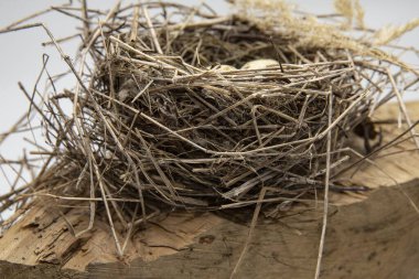 Kuru dal ve samandan yapılmış el yapımı kuş yuvasında üç bıldırcın yumurtası.