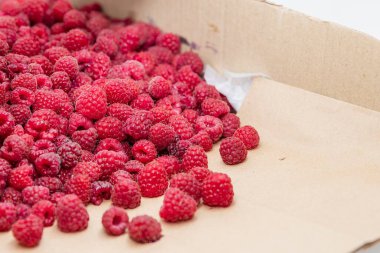 Karton bir kutuda taze kırmızı ahududular yerel pazarda satılmaya hazır.