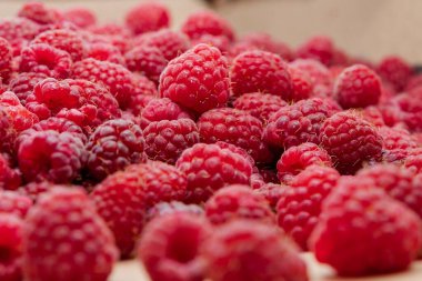 Taze olgun ahududu arka planında bir sürü sulu kırmızı böğürtlen