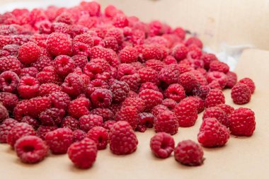 Karton bir kutuda taze kırmızı ahududular yerel pazarda satılmaya hazır.