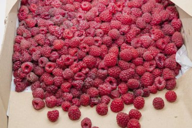 Karton bir kutuda taze kırmızı ahududular yerel pazarda satılmaya hazır.