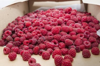 Karton bir kutuda taze kırmızı ahududular yerel pazarda satılmaya hazır.