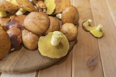 Taze kahverengi orman mantarları ahşap kesme tahtasında yakın plan