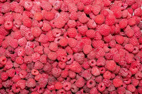 Taze olgun ahududu arka planında bir sürü sulu kırmızı böğürtlen