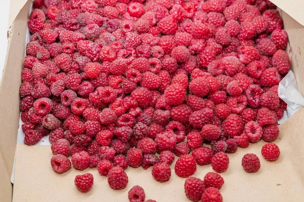 Karton bir kutuda taze kırmızı ahududular yerel pazarda satılmaya hazır.