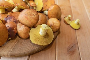 Taze kahverengi orman mantarları ahşap kesme tahtasında yakın plan