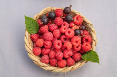 Taze ahududu ve siyah frenk üzümlü sepet. Sağlıklı yaz meyveleri.