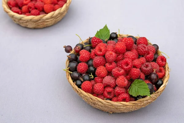 Taze ahududu ve siyah frenk üzümlü sepet. Sağlıklı yaz meyveleri.