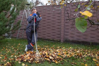 Evdeki bahçede çalışırken bir ağacın altında yaprakları tırmıklayan kadın.