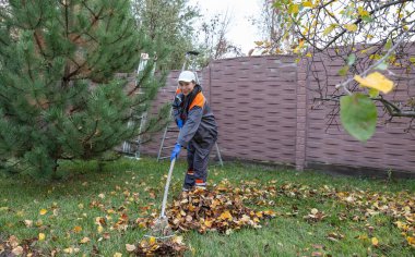 Evdeki bahçede çalışırken bir ağacın altında yaprakları tırmıklayan kadın.
