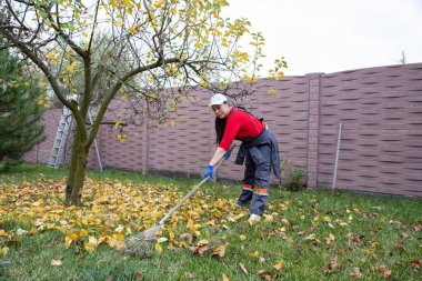 Evdeki bahçede çalışırken bir ağacın altında yaprakları tırmıklayan kadın.