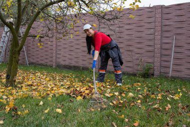 Evdeki bahçede çalışırken bir ağacın altında yaprakları tırmıklayan kadın.