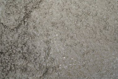 Görünür toplam taşlarla nemli beton doku kaba inşaat yüzey deseni oluşturur