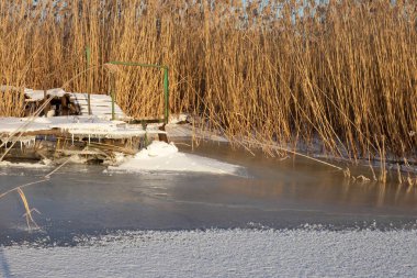 Buzlu göl yüzeyinde, kamışların yanındaki donmuş iskele ılık altın güneş ışığı altında.