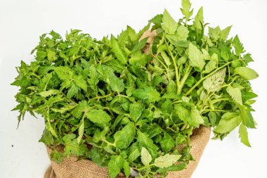 Bahçecilik ve tohum satışı için kırsal çuval içine domates tohumları.