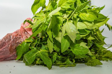 Bahçe işleri ve sağlıklı sebze yetiştirmek için taze domates tohumları.