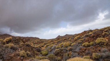 Tenerife Ulusal Parkı yolunda dramatik bulutlu gökyüzü ile Rocky volkanik yol manzarası