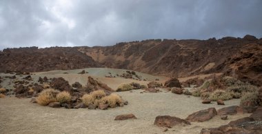 Dağılmış kayaları, kuru çalıları ve dramatik bulutlu gökyüzü olan çöl volkanik manzarası.