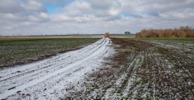 Kar, bulutlu, aydınlık kış gökyüzünün altında uzak ağaç çizgileriyle kırsal tarım alanını kapladı
