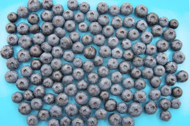 Taze olgun yaban mersinleri parlak mavi arka planda yoğun olarak sıralanır.