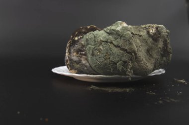 Gelişmiş mantar çürümesini gösteren ağır küflü ekmek somunu siyah arka planda izole edilmiş.