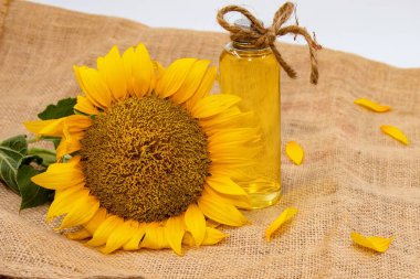 Kırsal kumaş arka planında cam bir şişe doğal yağ bulunan ayçiçeği.