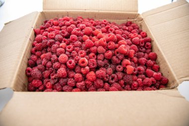 Açık karton kutuya doldurulmuş taze ahududu. Doğal yiyecek hasadı.