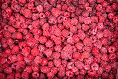 Taze olgun ahududu. Yiyecek tasarımı için doğal kırmızı doku.