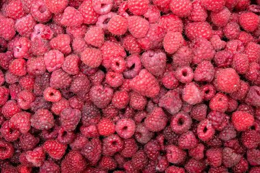 Taze olgun ahududu. Yiyecek tasarımı için doğal kırmızı doku.