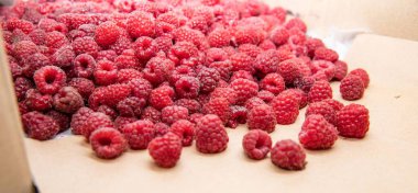 Karton kutuda taze olgun ahududular. Yiyecek için doğal ürün arka planı.