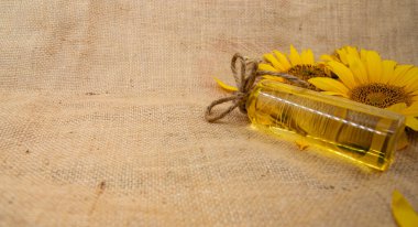Cam şişedeki ayçiçeği yağı ve kırsal arka planda taze ayçiçeği.