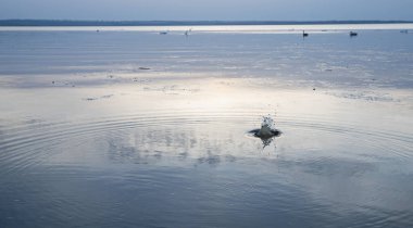 Yumuşak akşam ışığında sakin göl yüzeyine yayılan dairesel su dalgaları.