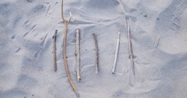 Tahta çubuklar pürüzsüz kumun üzerine yerleştirilmiş. En az soyut doğal bileşim oluşturuyorlar.