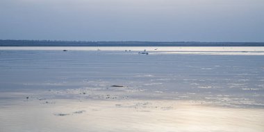 Sakin göl suyunda yüzen kuğular yumuşak yansımalarla sakin bir akşam boyunca