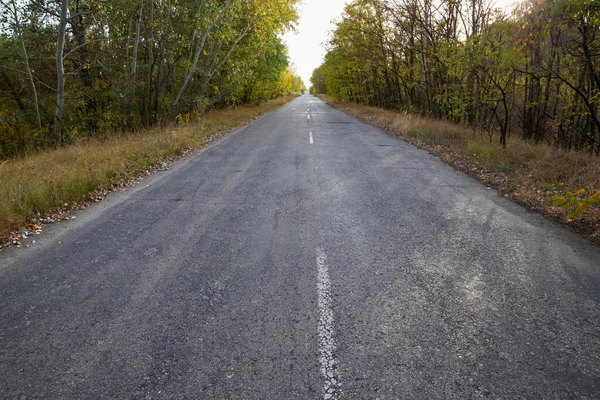 Sonbahar ormanlarında perspektif ve yok olma noktasıyla boş asfalt yol