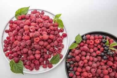 Beyaz arka planda izole edilmiş tabaklarda ahududu ve siyah üzümler