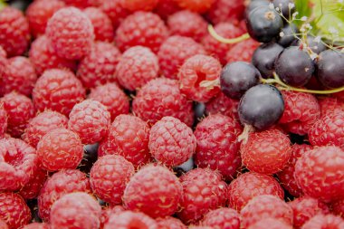 Taze olgun ahududular beyaz arka planda izole edilmiş makro yiyecek fotoğrafçılığı.