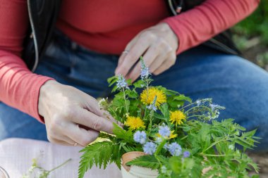 Eller açık havada masasında karahindiba demetini düzenliyor.