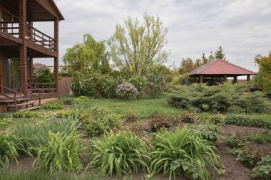 Ahşap taraçalı, bahçeli kır evi bahçesi ve yeşil bitkiler.