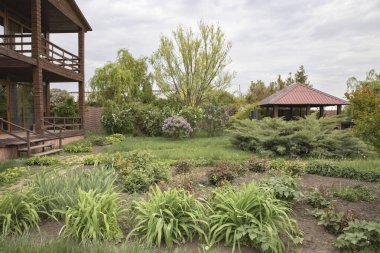 Ahşap taraçalı, bahçeli kır evi bahçesi ve yeşil bitkiler.