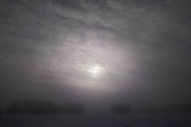 Dağınık güneş ve yoğun bulutlarla kaplı karlı tarlaların üzerindeki sisli kış gökyüzü