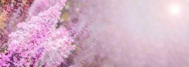 Yumuşak pembe bahar çiçekli kadınlar günü ve sevgililer günü çiçekleri