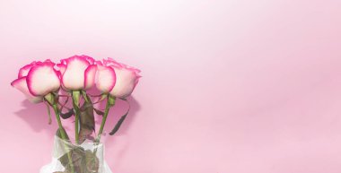 Pembe gül buketi, şeffaf filme sarılı pembe arka planda fotokopi alanı ile.