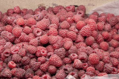 Taze olgun kırmızı ahududular sağlıklı beslenme ve tasarım kullanımı için tam çerçeve arkaplan dokusu