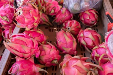 Yerel markette plastik sandıkta taze ejderha meyvesi sergileniyor.